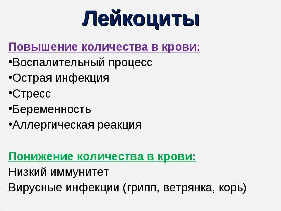 Почему могут быть повышенные лейкоциты