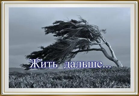 Ветер ломает деревья