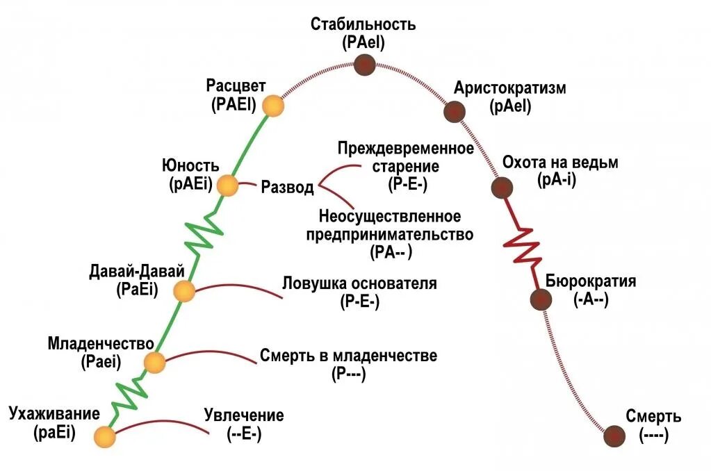 Жизненный цикл проблемы. Жизненный цикл организации Адизеса. Стадии жизненного цикла компании по Адизесу. Ицхак Адизес жизненный цикл организации. Теория жизненных циклов организации и.Адизеса.