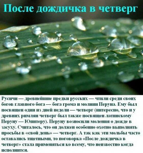 Выражение после дождичка в четверг. Выражение после дождичка в четверг. После дождичка в четверг. После дождичка в четверг фразеологизм. Выражение после дождичка в четверг.