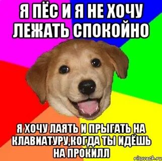 Я собак всегда готов