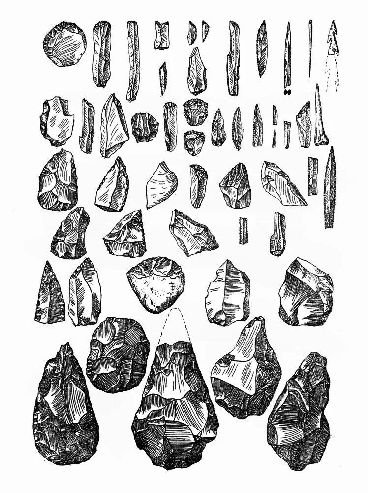 Верхний палеолит. Кремневые орудия каменного века. Каменные орудия верхнего палеолита. Каменные орудия эпохи палеолита. Отщеп палеолит.