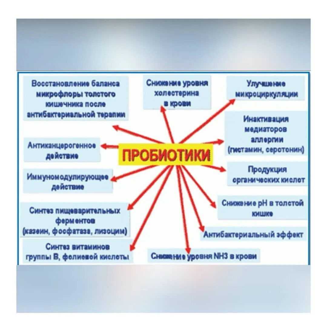 Бактерии добавки. Пробиотики. Пробиотики препараты. Классификация пробиотиков и пребиотиков. Пребиотики и пробиотики для кишечника.