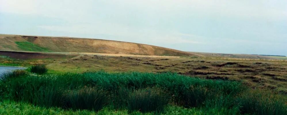 Красные выселки. Деревня Никитская Терновский район Воронежская область. Есипово Воронежская область Терновский район. Село Русаново Терновский район Воронежской области. Терновский район Воронежской области природа.