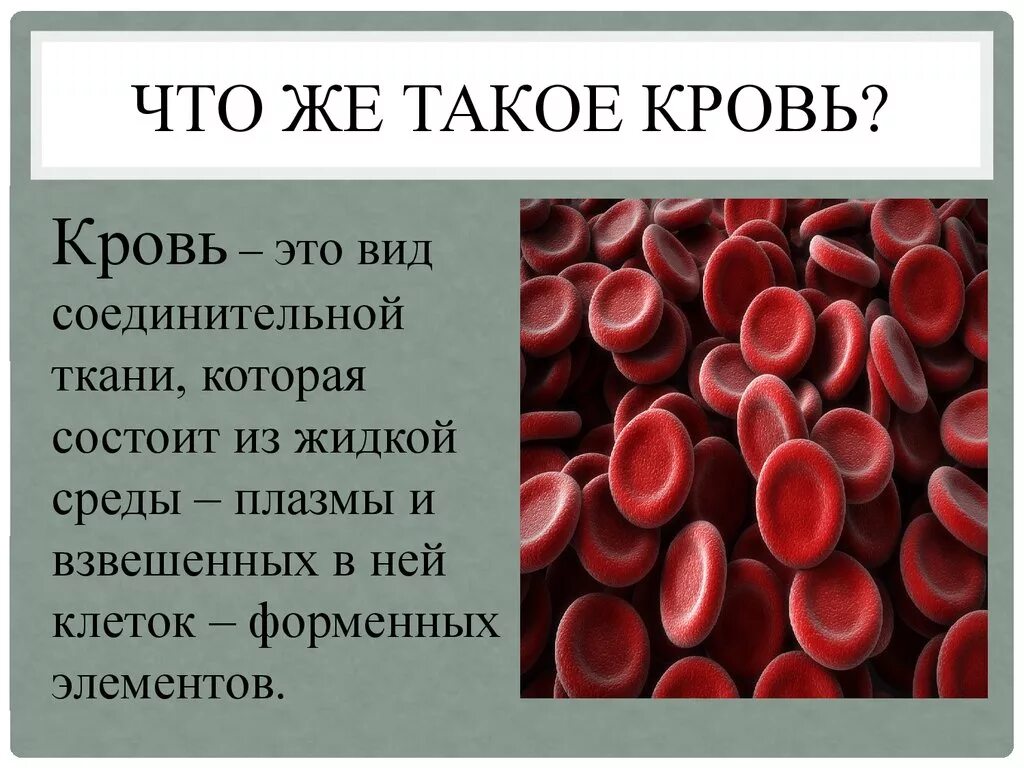 Есть ли слово кровь. Кровь для презентации. Кровь биология. Презентация на тему кровь. Сообщение о крови.