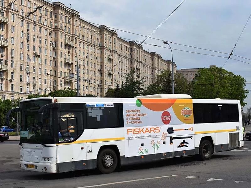 Автобус Глобус. Фото автобуса с глобусом. Реклама Глобус на автобусе. Автобус детская Глобус. Глобус тула бесплатный автобус