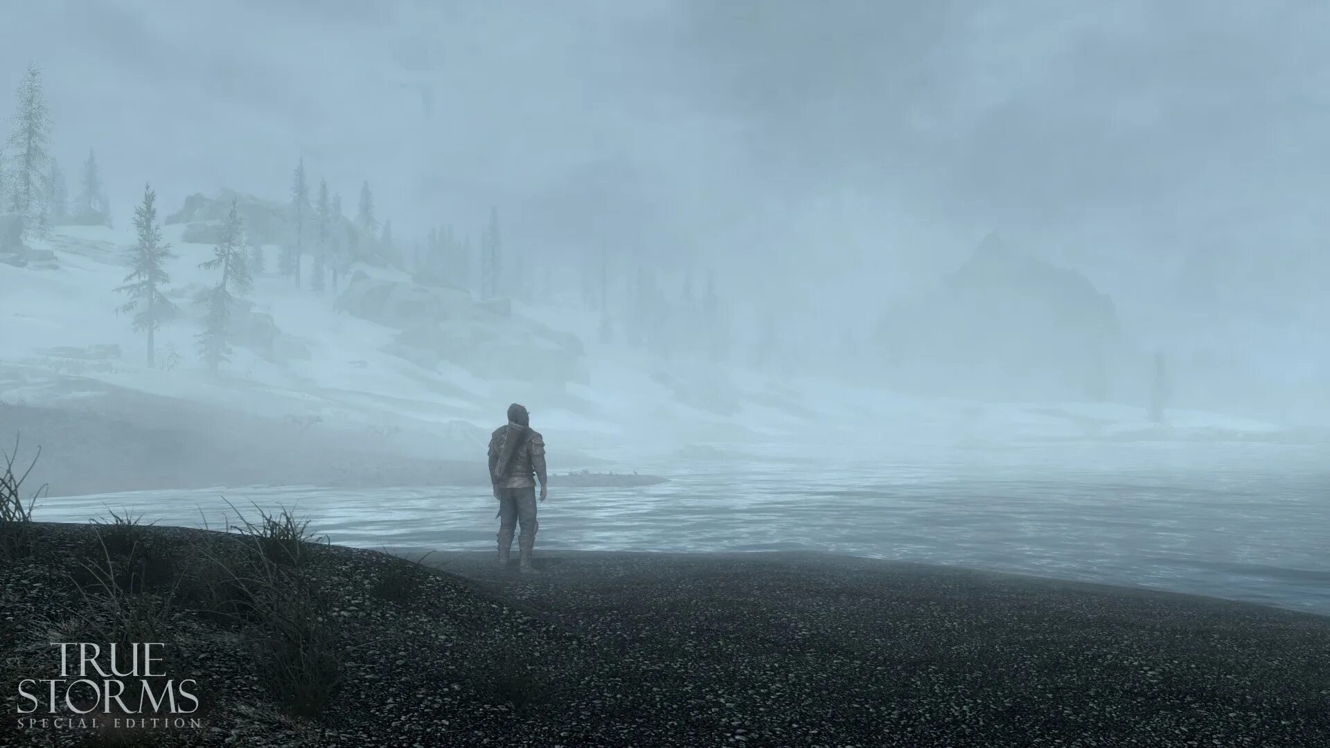 Скайрим люди. Skyrim enb vision. Скайрим enb ландшафт. Vividian enb. Skyrim nordland enb.