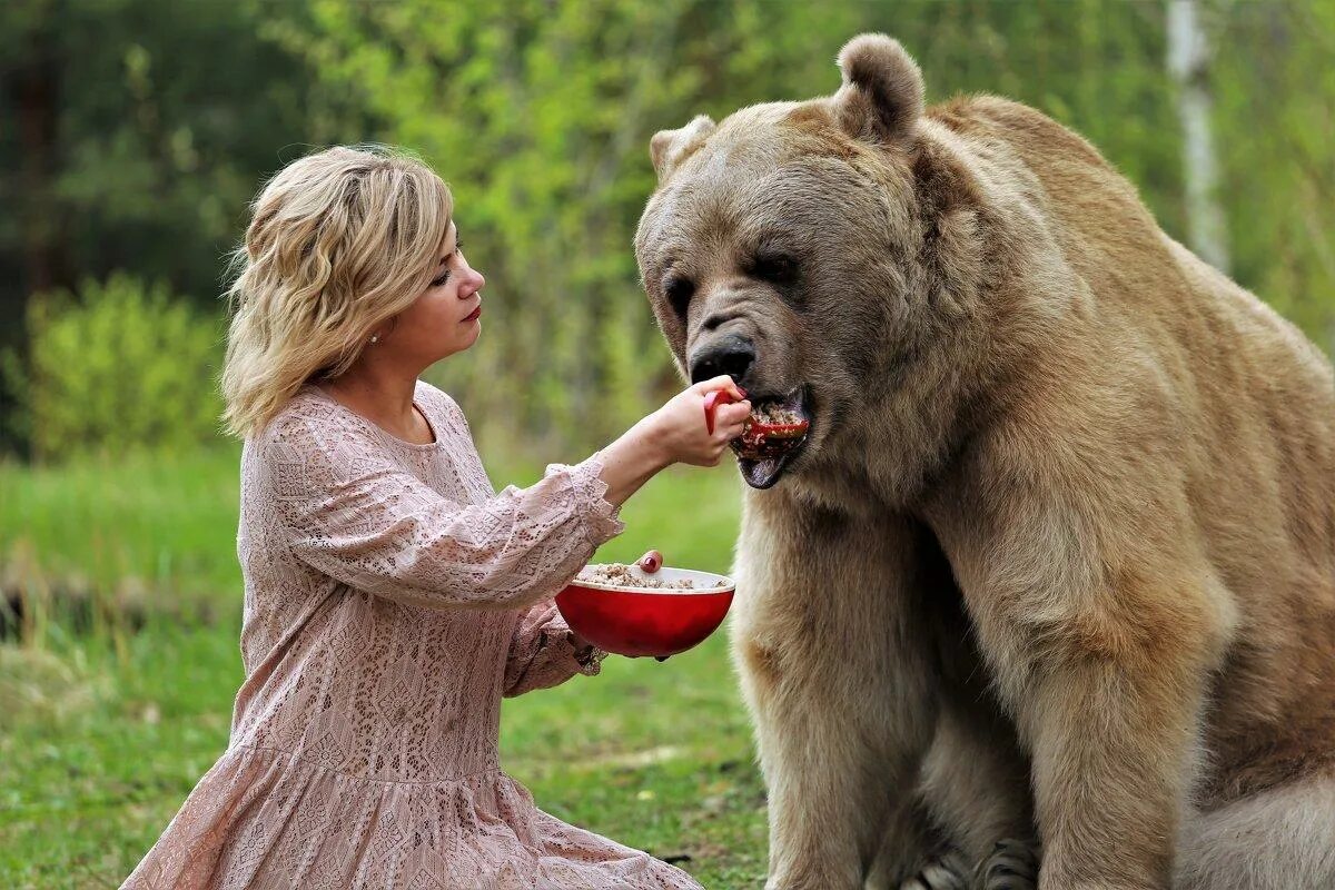 Медведь Россия. Прирученный медведь. Фотосессия с медведем. Девочка и медведь.