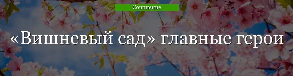 Основные герои вишневого сада. Главный герой пьесы вишневый сад. Действующие лица пьесы вишневый сад. Вишневый сад главные герои. Главные герои пьесы вишневый сад.