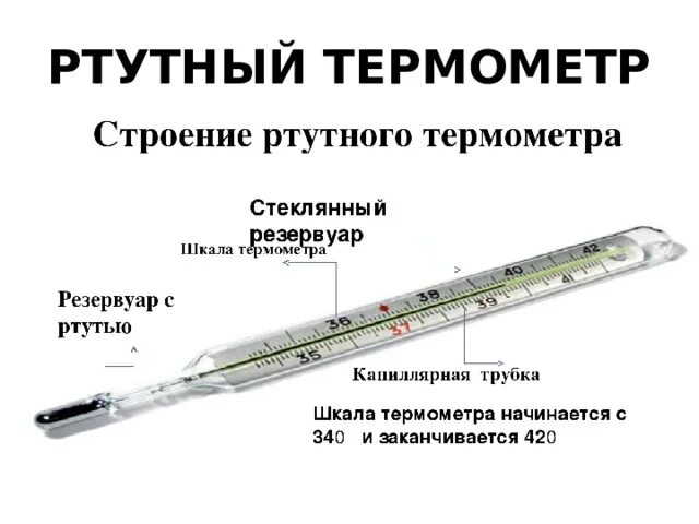 Устройство ртутного градусника для измерения температуры тела. Из чего состоит ртутный термометр. Максимальный ртутный термометр строение. Строение ртутного градусника. Приборы с ртутью