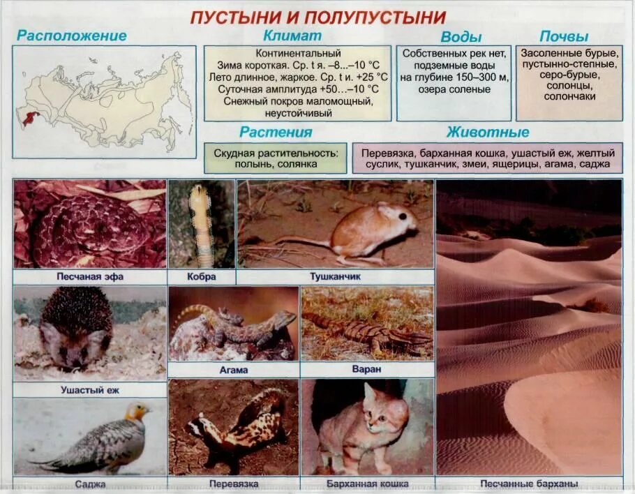 Тест зона пустыни 4 класс. Природные зоны животные и растения. Памятка природные зоны. Животный и растительный мир природных зон 4 класс. Животные в природных зонах 4 класс окружающий мир.