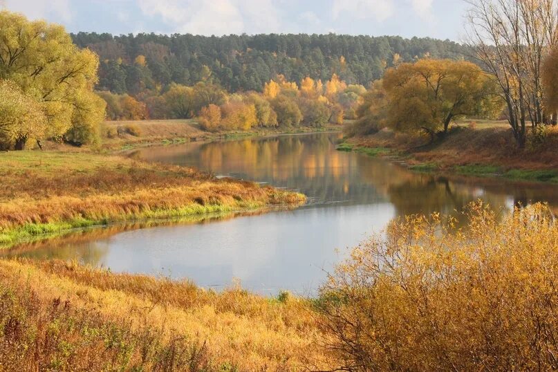 Паустовский туман. Мещёра Паустовский. Мещера Солотча природа. Мещерский край Паустовский. Паустовский в Солотче.