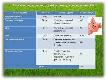 Из чего состоит комбикорм