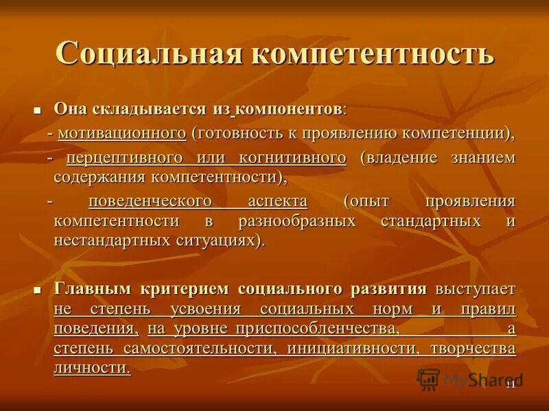 Социальная компетенция ребенка. Компоненты социальной компетентности детей. Составляющие социальной компетенции. Критерии социальной компетентности. Социальные компетенции дошкольников.