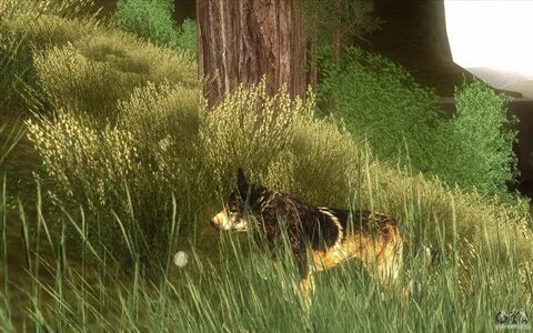 Wildlife mods
