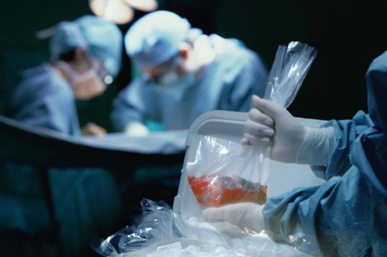 Изъятие органов человека изъятие. Сингенная трансплантация. Трансплантация органов и тканей.