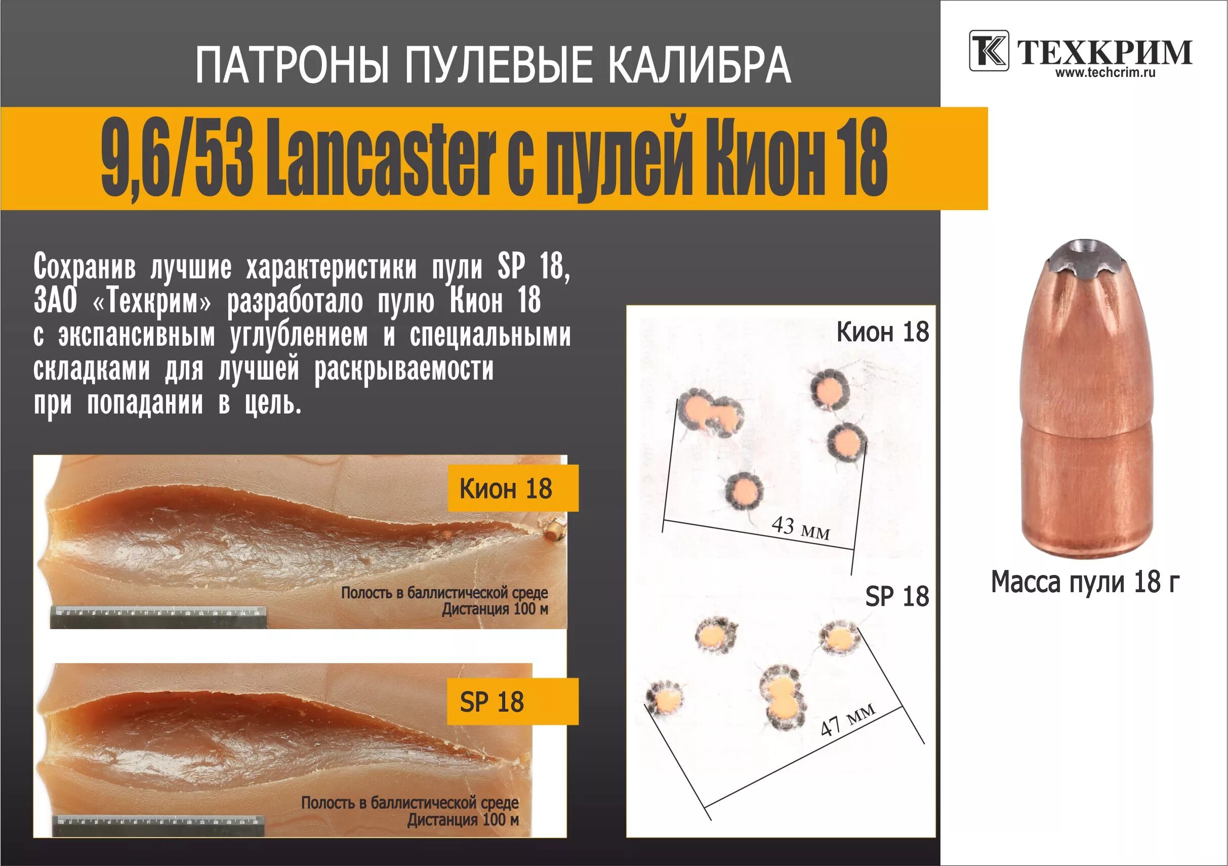 Экспансивный рост это. Патрон Калибр 9.6/53 Lancaster. Патрон пулевой 9,6*53 Lancaster Кион 18. Патрон Lancaster 9.6х53. 9.6/53 Lancaster патрон чертеж.