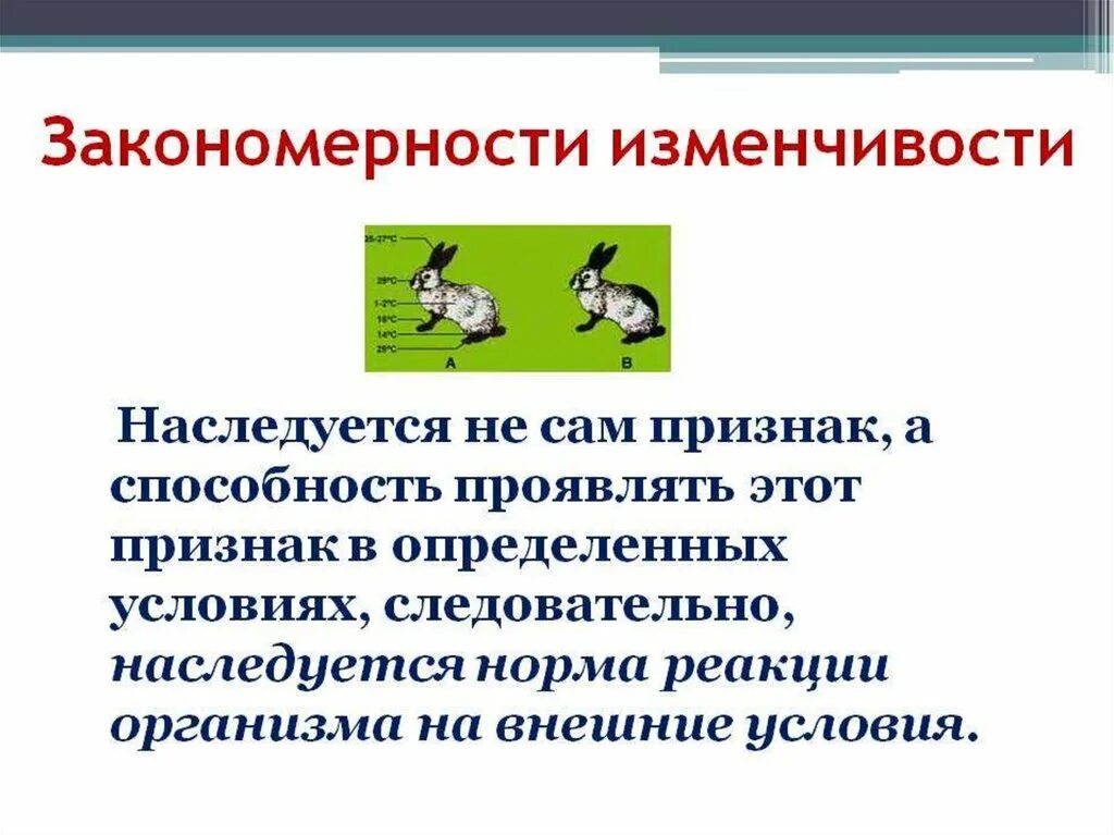 Изменчивость признаков виды изменчивости 10 класс. Основные закономерности изменчивости. Генотипическая изменчивость. Закономерность и изменчивость по биологии. Основные закономерности наследственной изменчивости. Закономерности изменчивости мутационная изменчивость 9 класс.