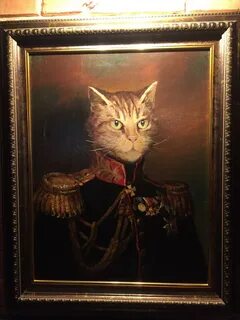 3 кота казань