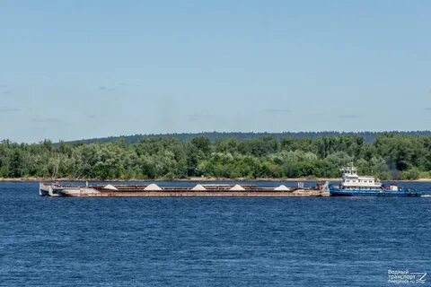 Волгарь кострома