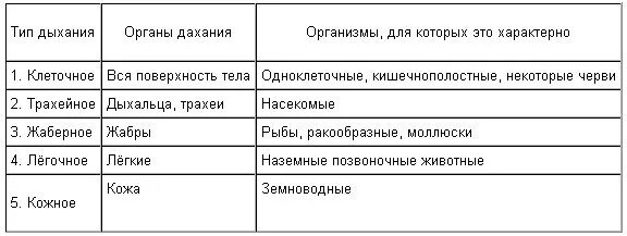 Типы дыхания животных 6 класс таблица биология. Биология таблица типы дыхания животных. Типы дыхания животных 6 класс таблица. Таблица по биологии типы дыхания.