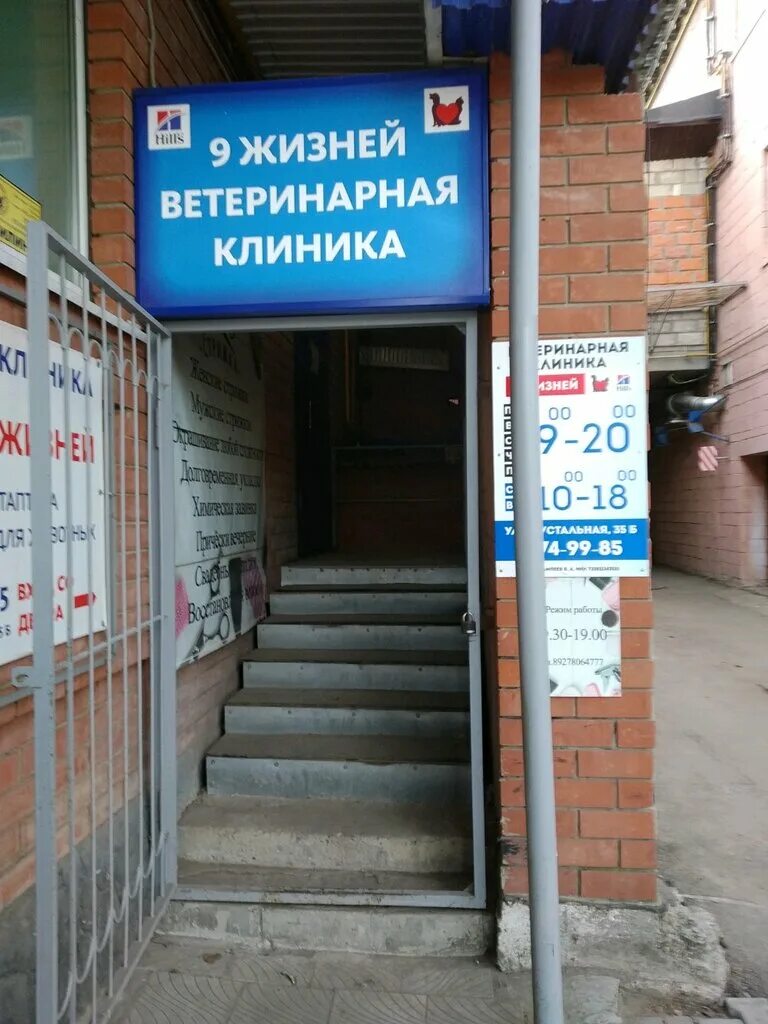 9 жизней ульяновск хрустальная. 9 жизней иваново ветклиника. Мегафон ульяновск. 9 жизней ветклиника ульяновск хрустальная. Дарвин ветклиника ульяновск.