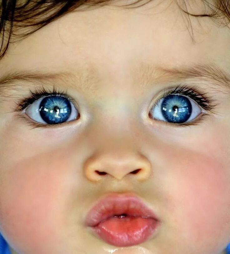 Baby eye песня. Дети с голубыми глазами. Детские глаза. Дети с синими глазами. Красивые малыши.
