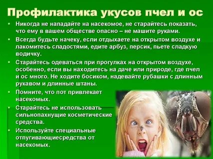 Почему опасен укус