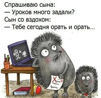 Соседи выучили уроки