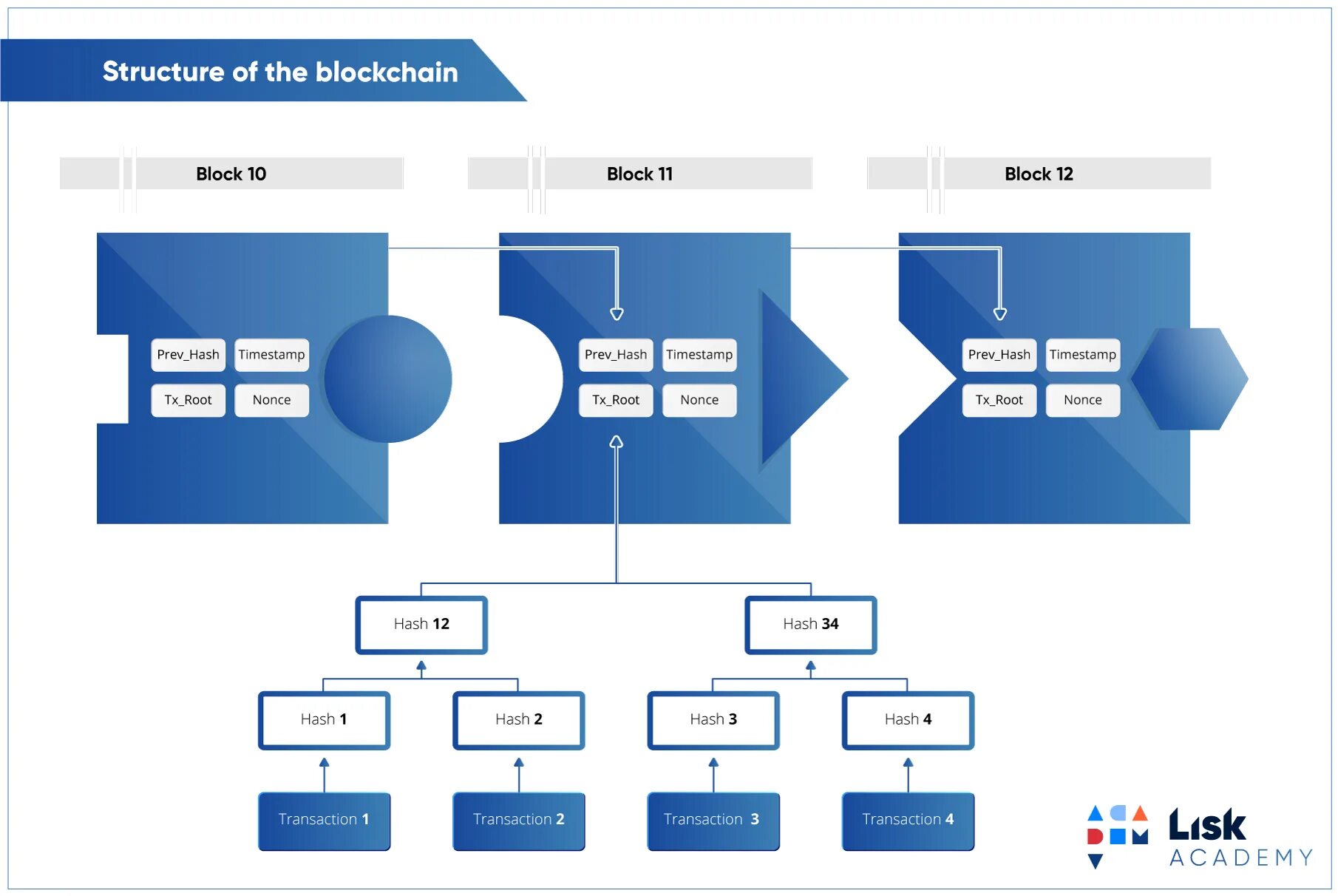 Децентрализованный мессенджер. Структура Blockchain. Блокчейн хэш. Блокчейн структура. Блокчейн схема блоков.