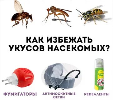 Как избежать укусов ос