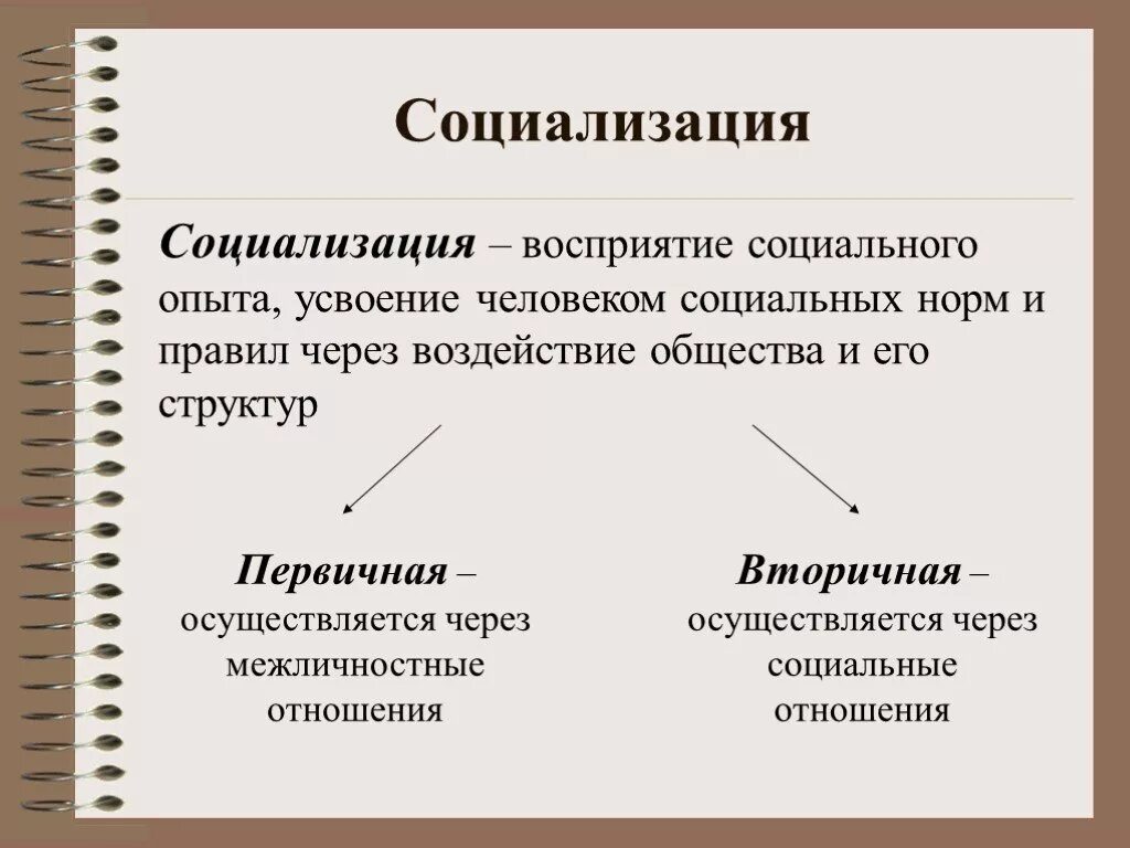 Человек является социальным человеком. Социализация. Формы познания. Социализация это кратко. Социализация это в обществознании.