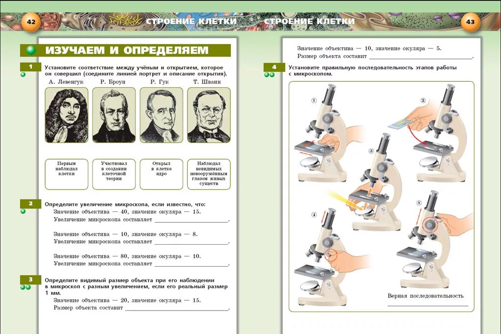 факультатив по биологии