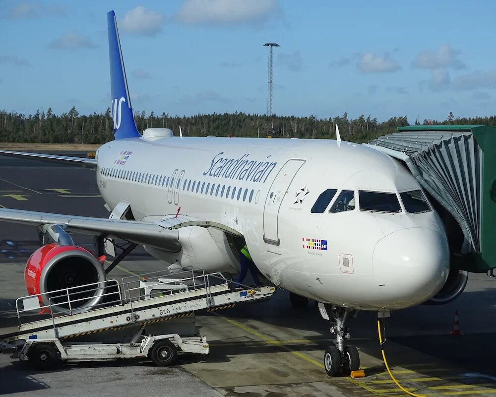 Sas airlines. Авиакомпания scandinavian airlines. sas авиакомпания. пилот авиакомпании. красивые картинки самолетов авиакомпании аэрофлот.