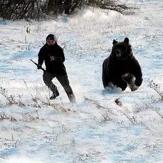 Убежать от охотника 36