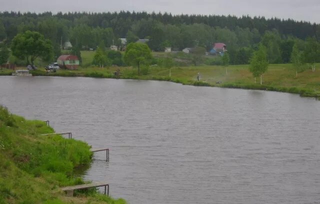 Платный пруд верхний. Платный пруд верхний. Лосиный остров рыбалка платная. Стрелецкий ручей михайловская слобода. Пруд лось лосиный остров.