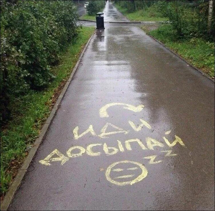 Приколы с надписями. Весёлые картинки с надписями. Приколы в картинках с надпися. Смешные картинки с надписями. Прикольные надписи.