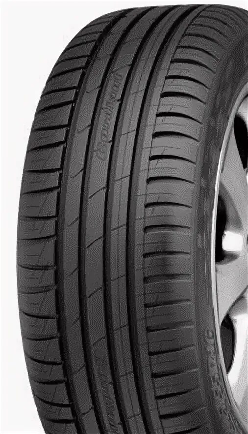 R15 cordiant sport 3 91v. Cordiant Sport 3. Cordiant Sport 3 ps2 r16 205/55 91v. 225/65/17 Cordiant Sport 3. Cordiant Sport 3 225/65 r17.