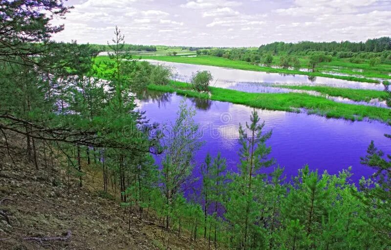 Иртышский 504. Конда 80. Река конда урай. Конда 80. Река конда хмао.
