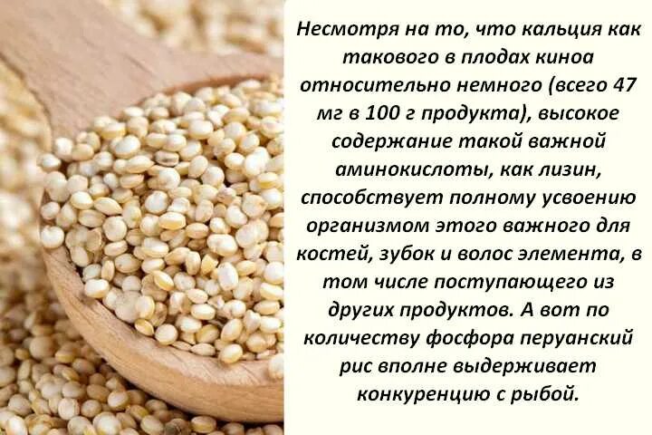 Сколько калорий в киноа. Зерновая культура - киноа. Чем полезна киноа. Киноа крупа чем полезна. Киноа крупа растение.