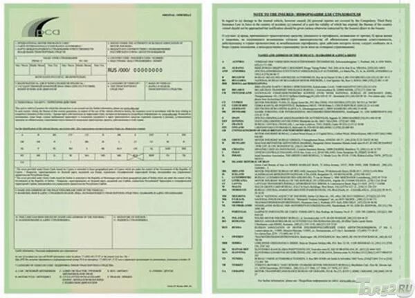 Зеленая карта страховая беларусь. Зелёная карта (страхование). Грин карта страховка. Полис зеленая карта. Зеленая карта.