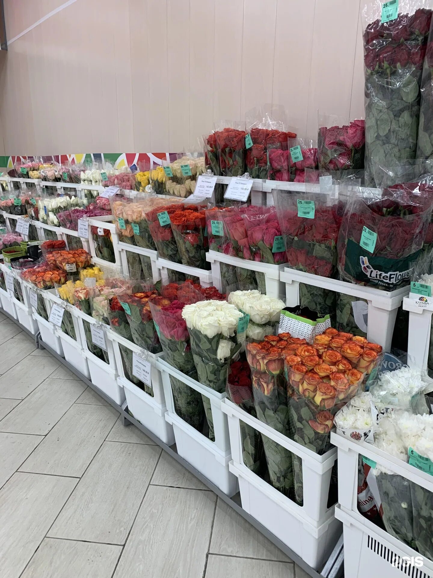 Магазин цветов казань. Luxflowers казань. Глушко 24. Ботаника краснодар. Магазины цветов в казани цвет.