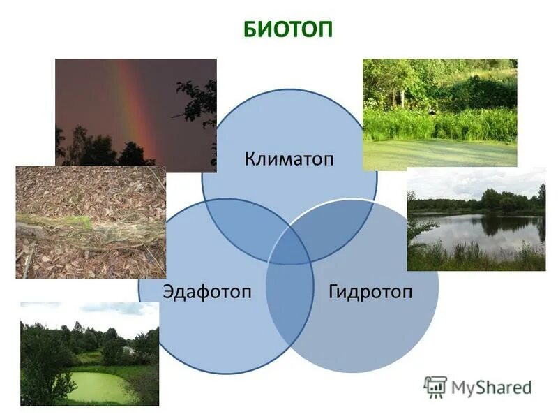 Billabong surf capsule. Гидротоп ру. Дверь в нишу esbano es-140dw. Гидротоп женский. Гидротопы для женщин.