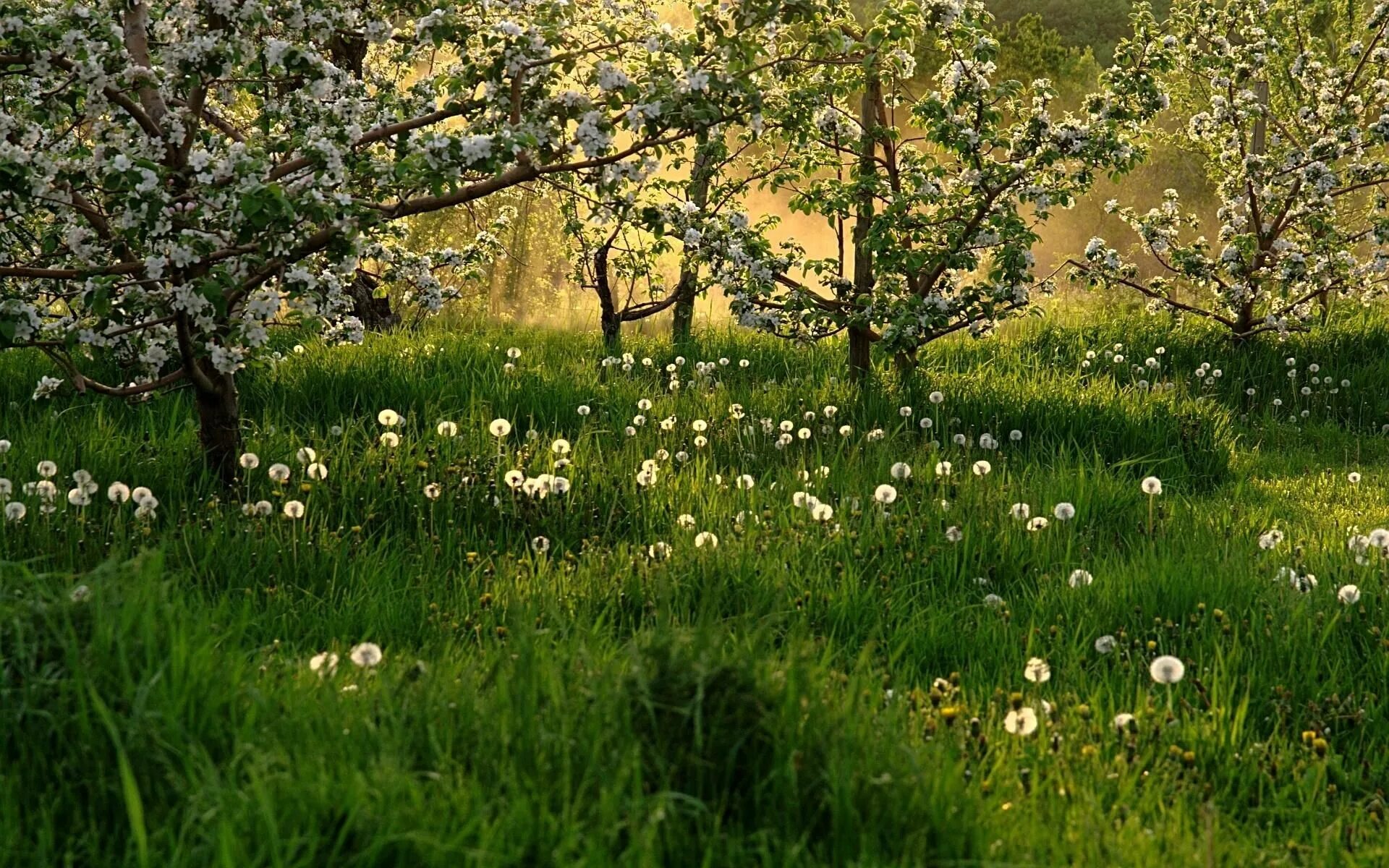 Springtime