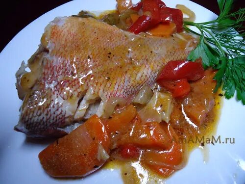 филе красного окуня. морской окунь жаркнный. тушеный морской окунь с овощами. тушеный окунь с луком. морской окунь запеченный в сметане.