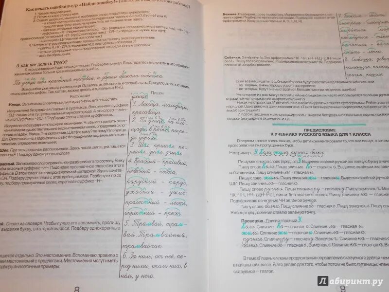 Учусь в школе и дома шклярова. Шклярова русский язык 1 класс. шклярова учимся в школе и дома. шклярова русский язык 4 класс. шклярова русский язык 3 класс.