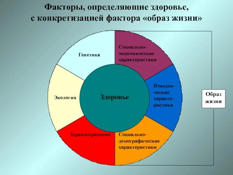 Влияние социально экономических факторов на здоровье человека. Факторы здоровья. Факторы определяющие образ жизни. Факторы определяющие здоровье человека. Факторы определяющие состояние здоровья человека.