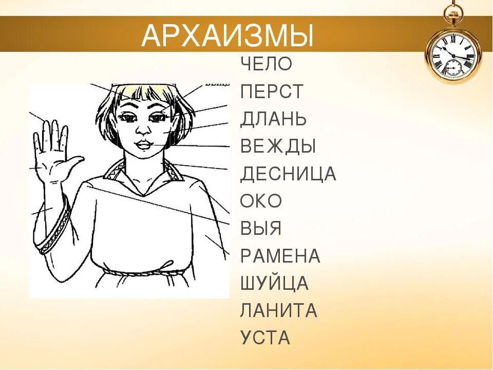 Где выи. Архаизмы части тела. Что такое Длань в устаревших словах. Щеки ланиты. Архаизмы названия частей тела человека.