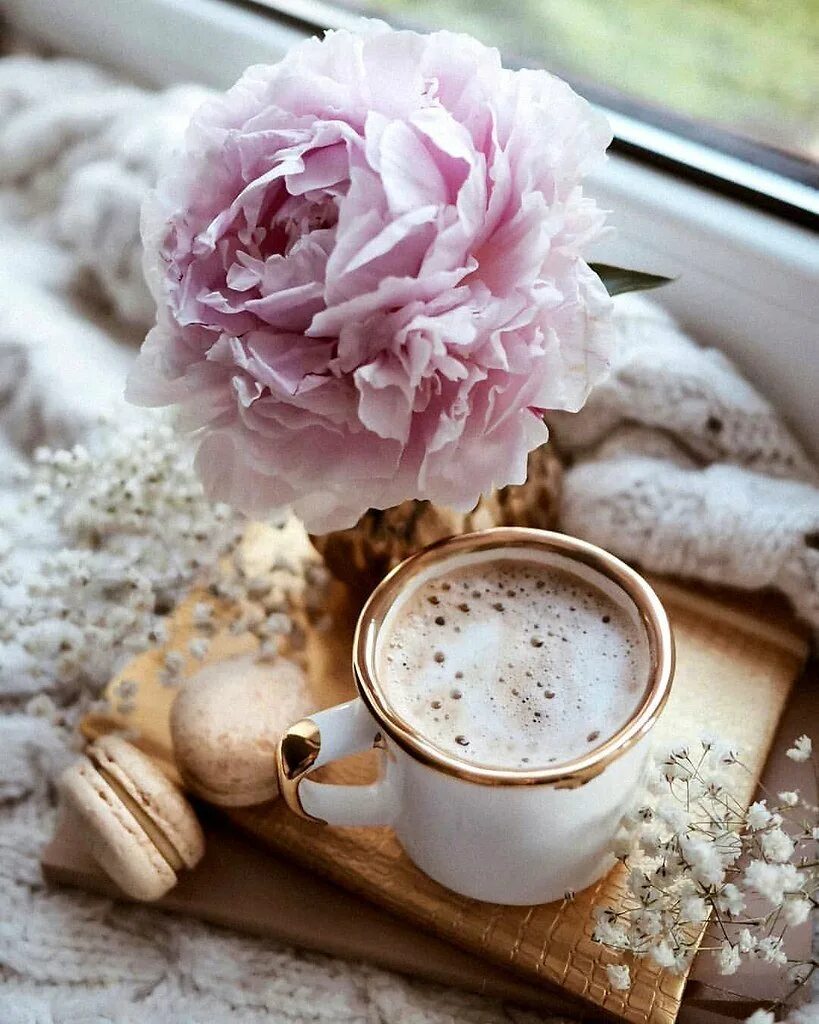 Кофе и цветы. Чашка кофе и цветы. Утренние цветы. Красивые цветы в чашке. Стильные картинки с добрым утром красивые новые
