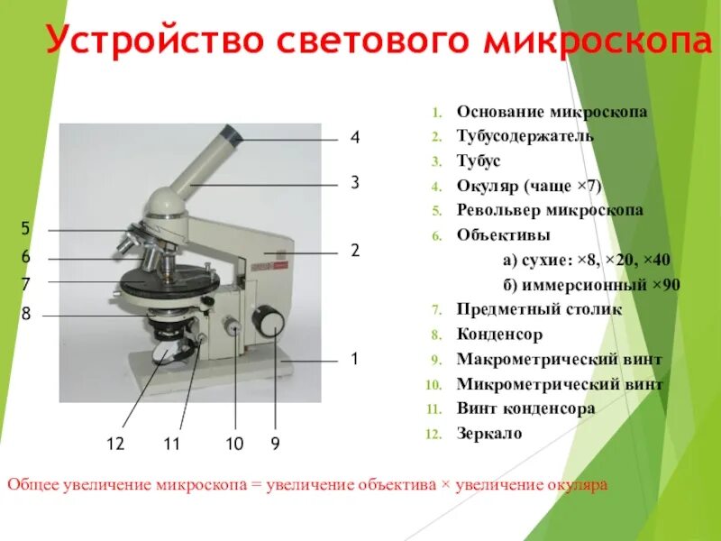 Какую часть выполняет тубус. Револьвер микроскопа Назначение. Строение микроскопа тубусодержатель. Осветительное устройство светового микроскопа. Функция револьвера в микроскопе.